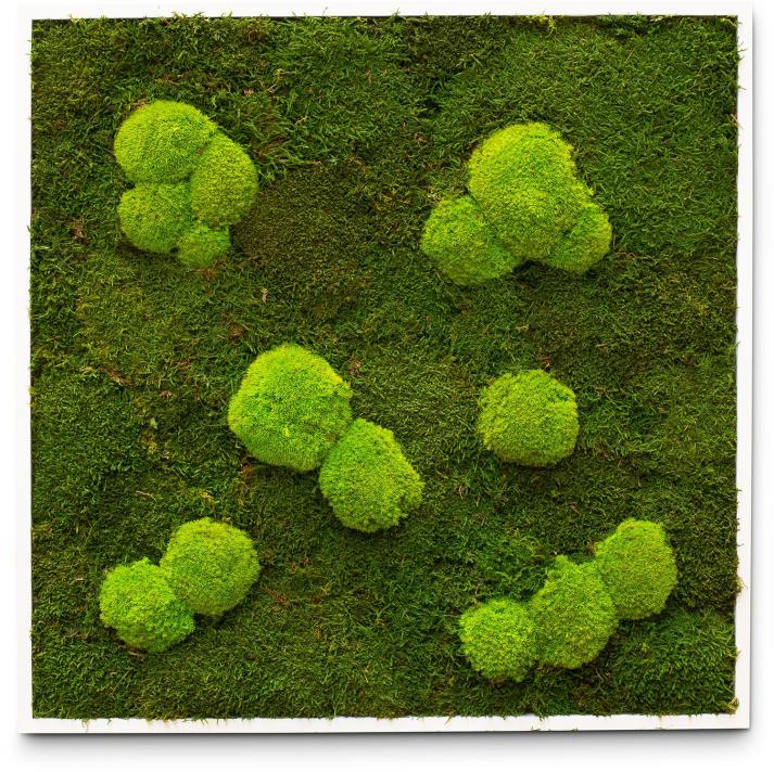 Premium Moss Wall Art 80x80